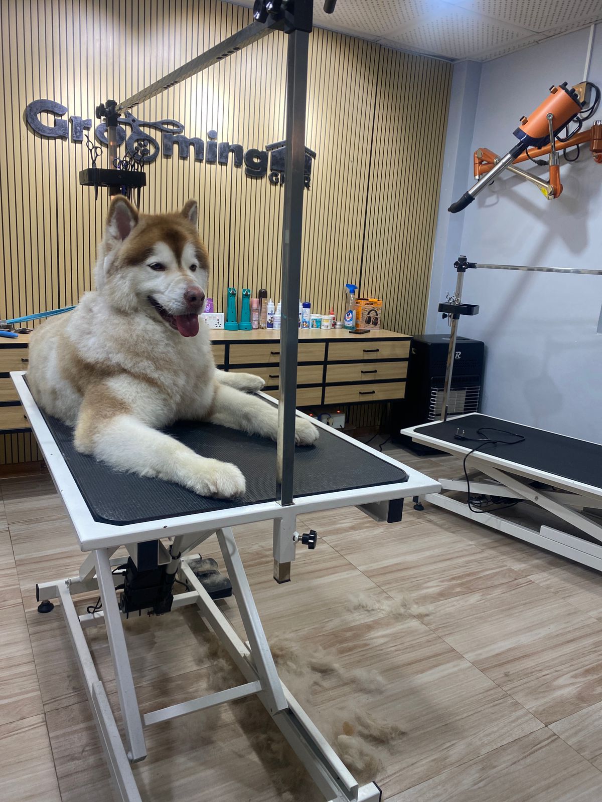 Husky