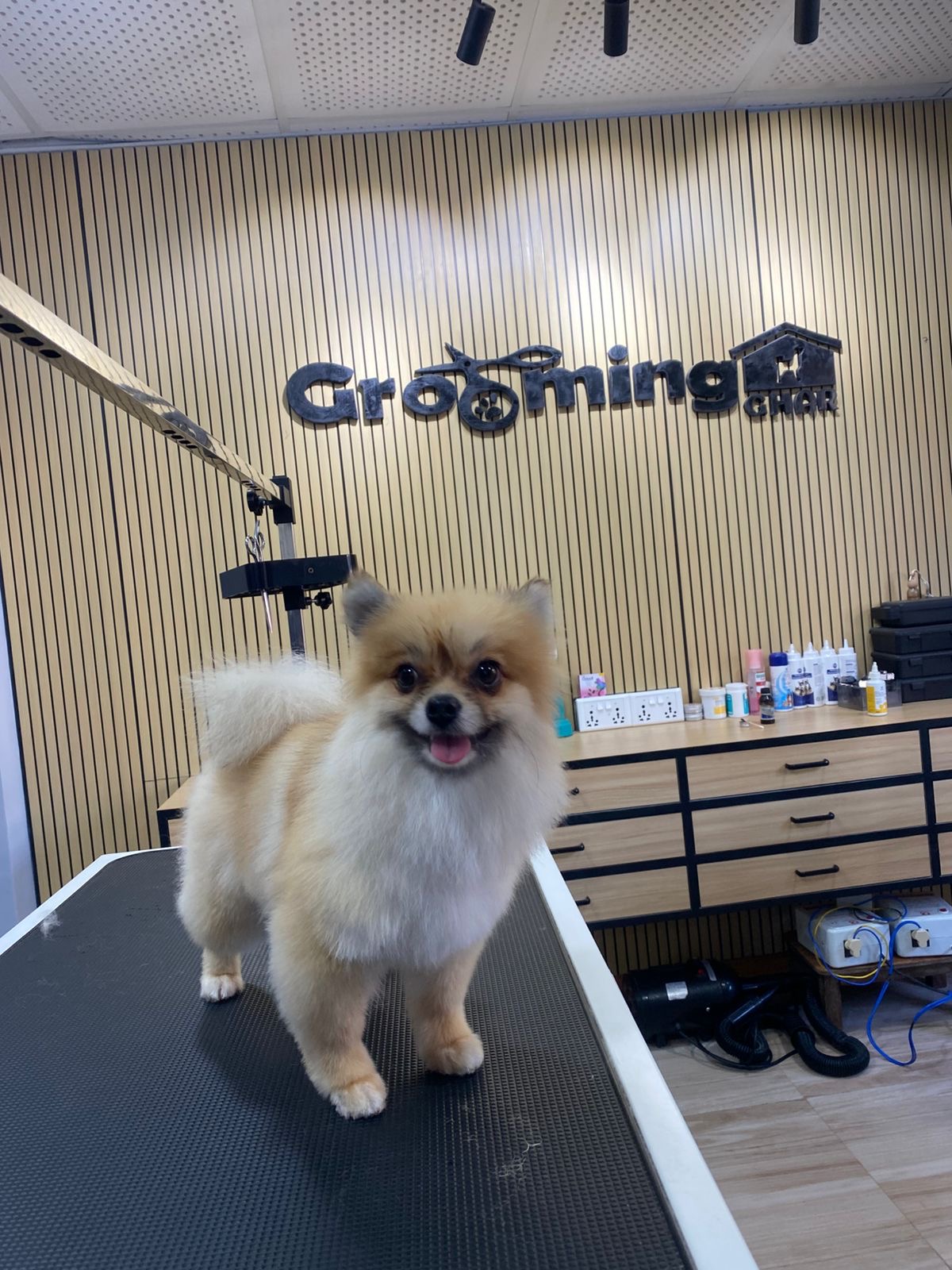 Pom Mix