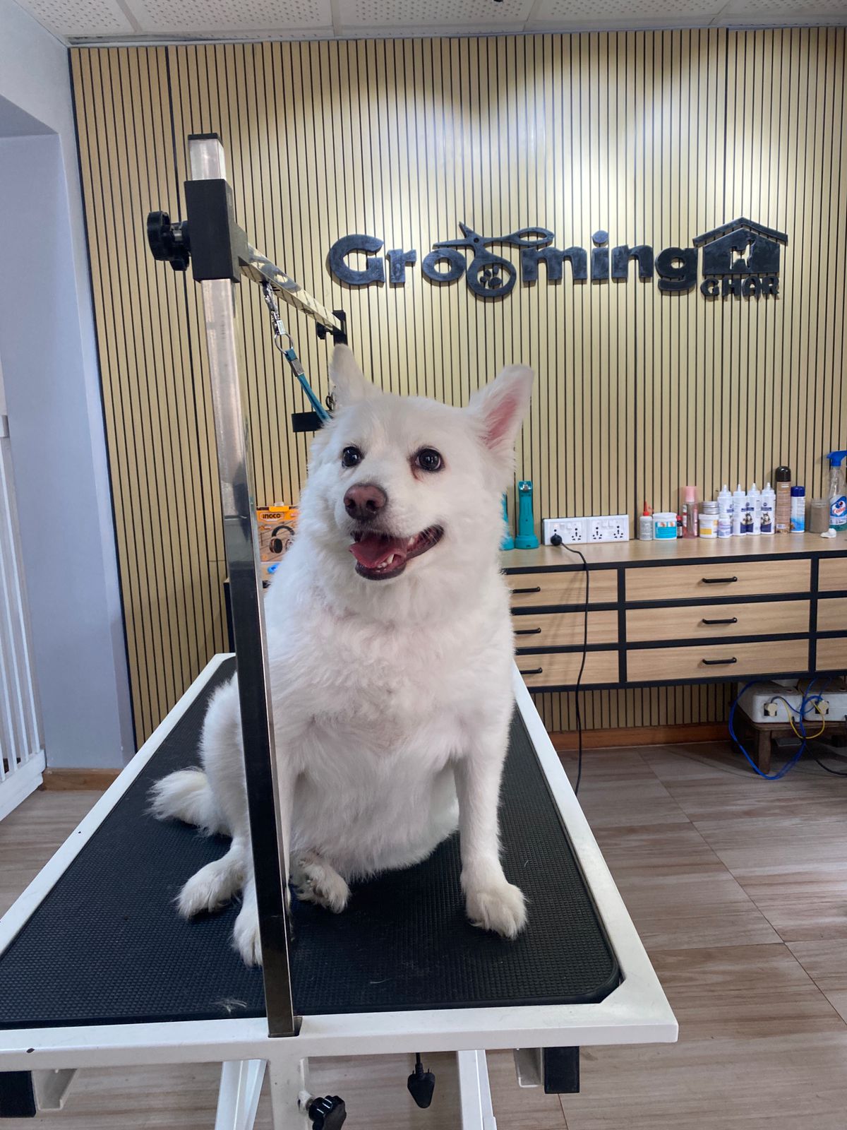 Hygiene Grooming